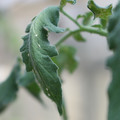 080001_20180328103223_02.JPG