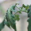 080001_20180328103224_01.JPG