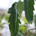 080001_20180328103438_01.JPG