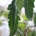 080001_20180328103438_03.JPG