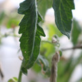 080001_20180328103440_01.JPG