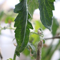 080001_20180328103440_03.JPG