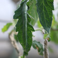 080001_20180328103445_02.JPG