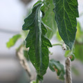 080001_20180328103446_01.JPG
