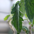 080001_20180328103447_03.JPG