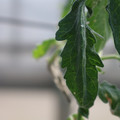 080001_20180328103448_01.JPG