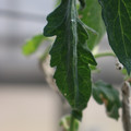 080001_20180328103448_02.JPG