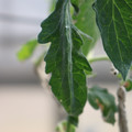 080001_20180328103449_01.JPG
