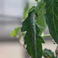 080001_20180328103449_02.JPG