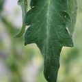 080001_20180328103604_02.JPG