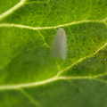 089909_20171117133037_01.JPG
