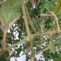159906_20171108110424_01.JPG