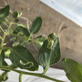 439907_20171204140528_01.JPG