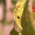 439907_20180208091106_01.JPG