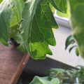 035610_20180207162411_01.JPG