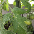 035610_20180213135818_01.JPG