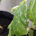 035610_20180216161033_02.JPG