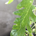 035610_20180221135351_01.JPG