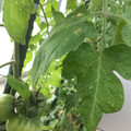035610_20180301162513_01.JPG