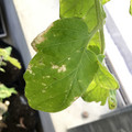 035610_20190215163957_01.JPG