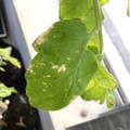 035610_20190215163958_01.JPG