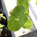 035610_20190215163958_02.JPG