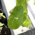 035610_20190215163959_01.JPG