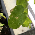 035610_20190215164004_02.JPG