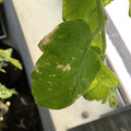 035610_20190215164006_02.JPG