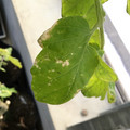 035610_20190215164006_03.JPG