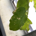 035610_20190215164228_01.JPG