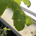 035610_20190215164442_03.JPG