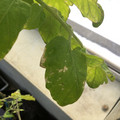 035610_20190215164446_01.JPG