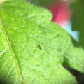 039905_20171127101441_01.JPG