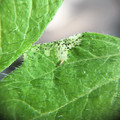 039905_20171127101548_01.JPG