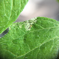 039905_20171127101554_01.JPG