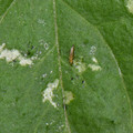 039905_20171130074823_01.JPG