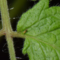 039905_20171130080055_01.JPG