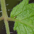 039905_20171130080123_01.JPG