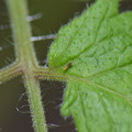 039905_20171130080304_01.JPG