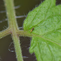 039905_20171130080326_01.JPG