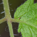 039905_20171130080356_01.JPG