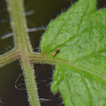 039905_20171130080408_01.JPG