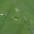 039905_20171203100623_01.JPG