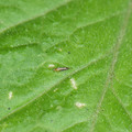 039905_20171215092544_01.JPG