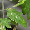 039906_20180111145443_01.JPG