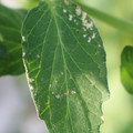 080003_20180306160043_01.JPG