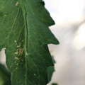 080003_20180306160906_02.JPG