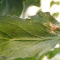 080003_20180306170510_01.JPG