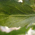 080003_20180306170512_01.JPG